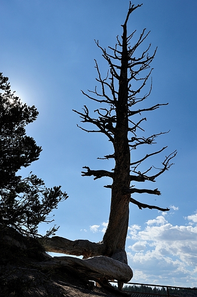 Bryce Canyon-Viaggi.JPG